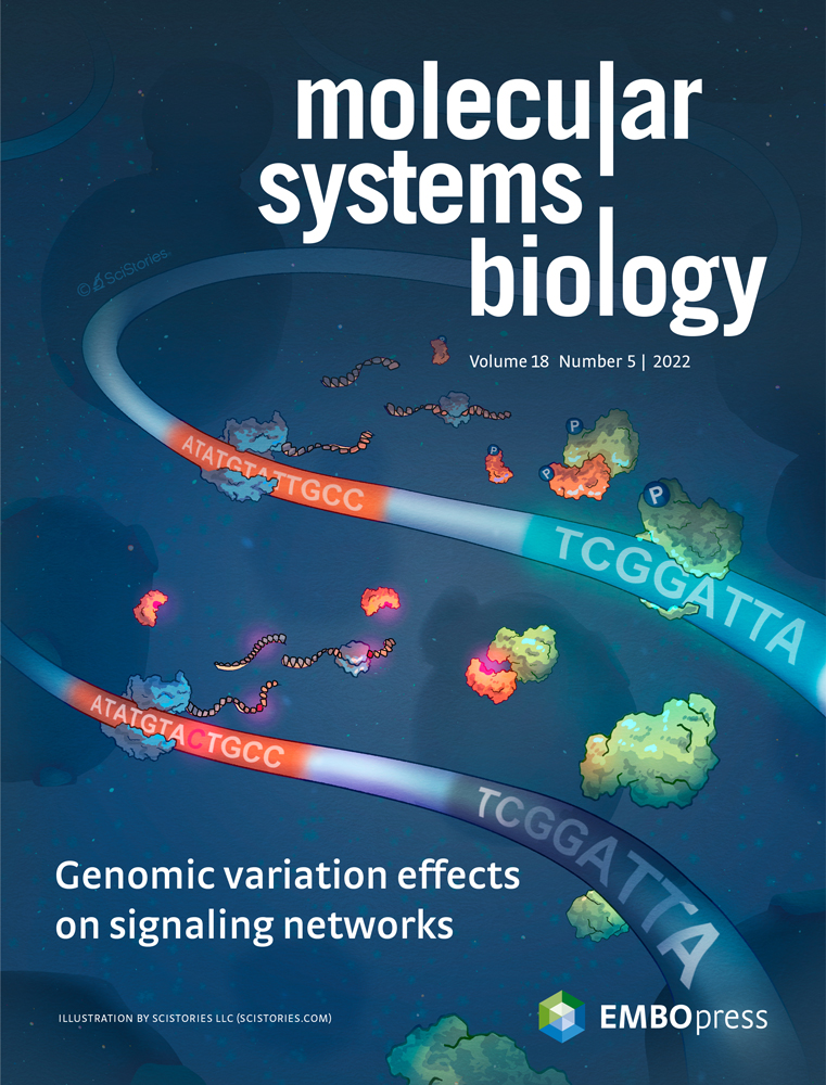 EMBO – Excellence in life sciences