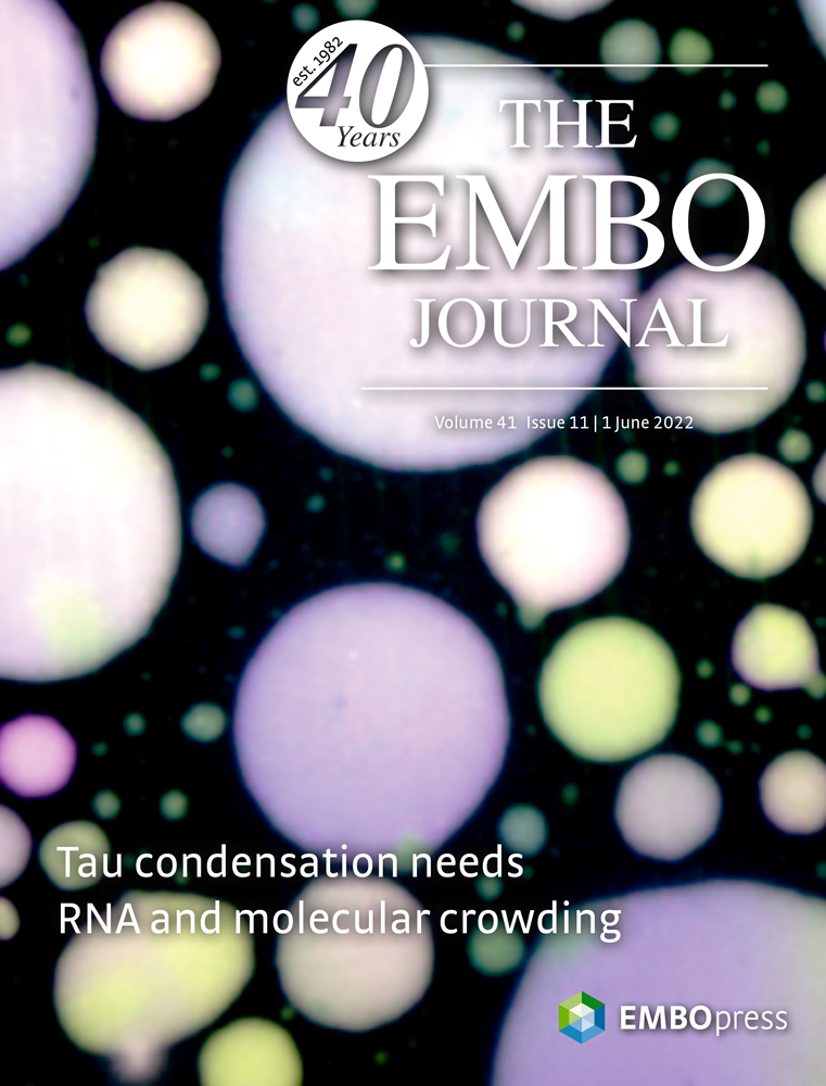 EMBO Excellence in life sciences